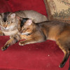 IMG_0182 IMG_0182