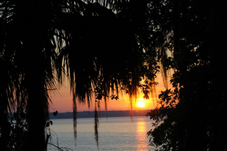 Sun rising over lake Sun rising over lake