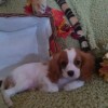 PIC 1 SO ADORABLE PIC 1 SO ADORABLE