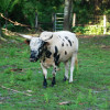 DSC_0017 DSC_0017