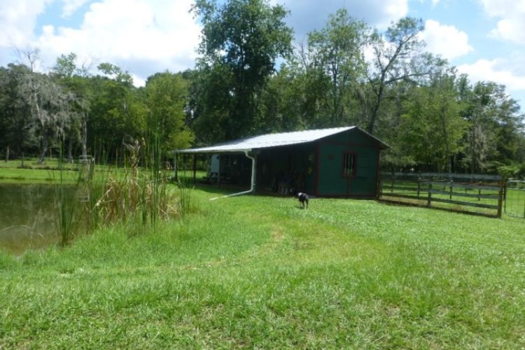 3 acres 006 3 acres 006