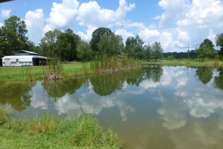 3 acres 009 3 acres 009