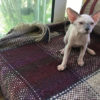 IMG_1024 IMG_1024