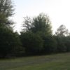 IMG_0501 IMG_0501