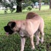 Fiona Fiona