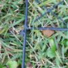 fencing #3 fencing #3
