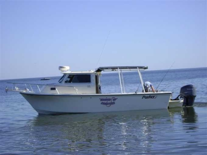 Fishing charters. Cedar key fl. Gulf of mexico - Florida4sale