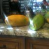 IMG_0049 IMG_0049