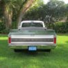 Chevy C 10 tailgate Chevy C 10 tailgate