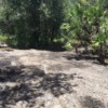 Lots of walking paths Lots of walking paths