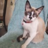 Freya3 Freya3