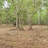 Steinhatchee Vacant Land Steinhatchee Vacant Land