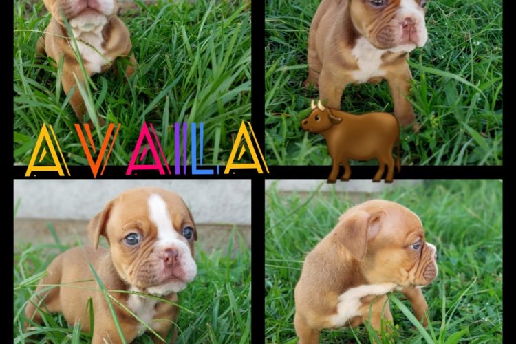 photoCollageMaker_20220614_212846480 photoCollageMaker_20220614_212846480