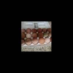 eggs
