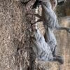 IMG_5819 IMG_5819