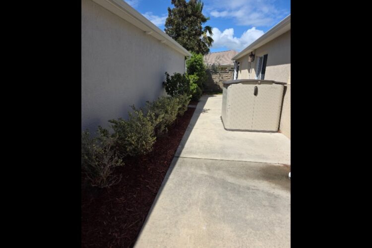 Side Yard w/Storage Shed