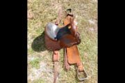 Sharin Hall Barrel Saddle