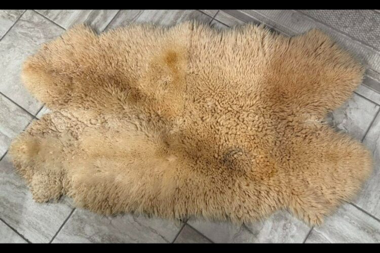 TOP SHEEP SKIN