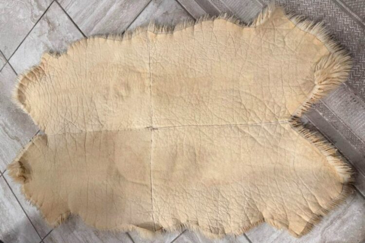 BOTTOM SHEEP SKIN
